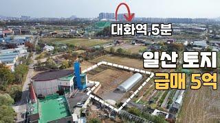 일산 대화역세권 토지 가격인하 급매가5억