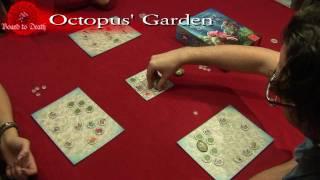 Octopus Garden Board Game Review