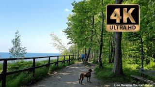 Virtual Jastrzębia Góra walk video with bavarian mountain hound|Poland|Beach and city walk|June 2022