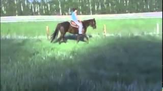 Cheryl and Bruno riding outside on a nice May evening.