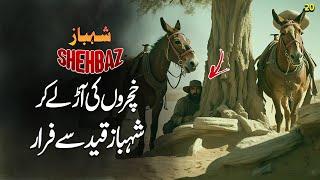 SHEHBAZ EP20 | Shahbaz escaped from prison | Discover Original