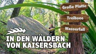 In den Wäldern von Kaisersbach | Treibsee | Große Platte | Trögleshütte