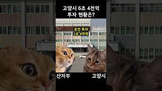 고양시 6조 4천억원 투자 현황은?? #고양시 #이동환 #산자부 #투자