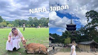 Nara, Japan was one of my favorite experiences from all my travels.