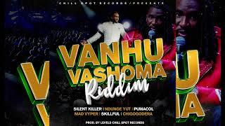 Silent Killer - Vanhu Vashoma (Vanhu Vashoma Riddim 2024 Prod. By Chill Spot Records)