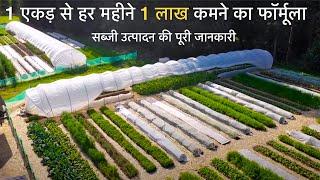 VEGETABLE FARMING HANDBOOK | how to do Organic farming | Vegetable Business