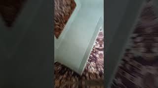Обзор на редкую советскую туристическую кровать #кровать #СССР #туризм