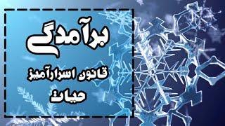 برآمدگی: قانون اسرارآمیز حیات