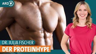 Protein: Gesundes Eiweiß für Muskelaufbau und zum Abnehmen | Dr. Julia Fischer | ARD Gesund