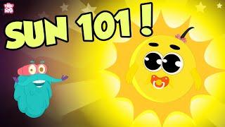 Sun 101 | All About The Sun | The Dr Binocs Show | Peekaboo Kidz