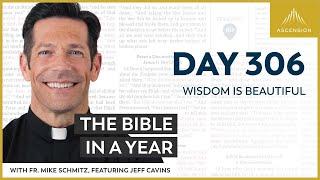 Day 306: Wisdom Is Beautiful — The Bible in a Year (with Fr. Mike Schmitz)