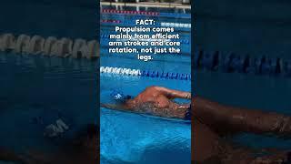 Outswim the Myths