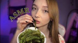 ASMR SEA GRAPES  eating mouth sounds