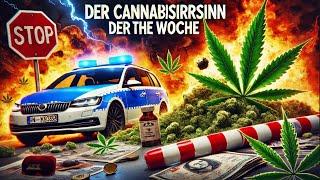 Der Cannabisirrsinn der Woche