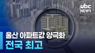 울산 아파트값 양극화 전국 최고 20240901