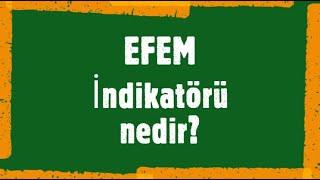 EFEM İndikatörü nedir? Ne işe yarar? Nasıl kullanılır?