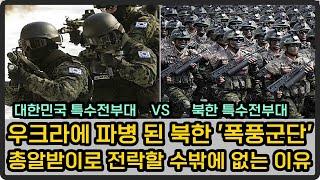 대한민국 특수전부대 VS 북한 특수전부대, 파병된 폭풍군단 전쟁에 미칠 영향은?