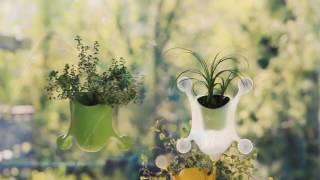 Harris Seeds/GardenTrends - Livi Pots - Reimagine Your Plant Experience