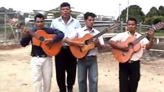 Pasillos y pasacalles ecuatorianos guitarras - Santa Lucía Guayas Ecuador