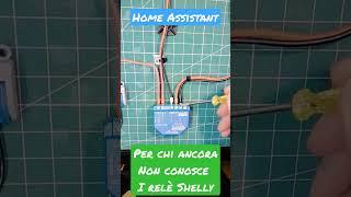 Shelly in HassOS #domotica #homeassistant