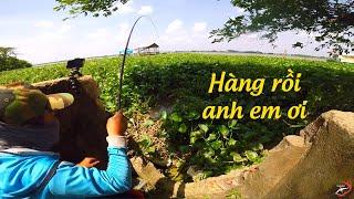 FISHING . RA SÔNG MÓC LỖ CÂU CÁ TRÊ KHÔNG NGỜ ĐỤNG ĐƯỢC CON NÀY , CHẠY CẮM ĐẦU LÀ CÓ THẬT