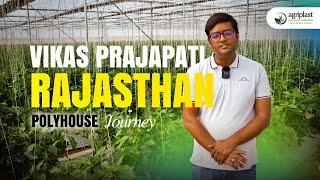 How Vikas Prajapati Became the First Hi-Tech Farmer Growing Capsicum in Sikar, Rajasthan | Agriplast