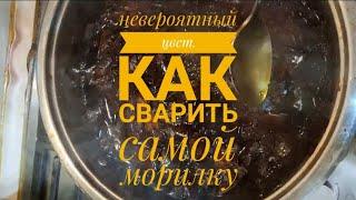 супер красивый цвет морилки . или как сварить  домашнюю морилку