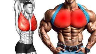 Bigger Chest Workout For Bigenner