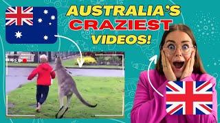 British Woman Reacts to Australia's Craziest Videos! 