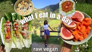 What I eat in a day RAW VEGAN | delicious & holistic raw meals (I felt AMAZING after this!)