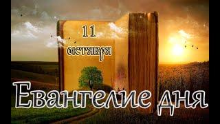 Апостол, Евангелие и Святые дня. Свт. Харито́на Исповедника, епископа Иконийского. (11.10.24)