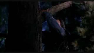 Tenacious D - Papagenu (He's My Sassafrass)