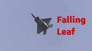 F-22 Raptor does Falling Leaf and Cobra Maneuver!