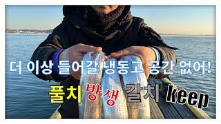 11월 7일 시즌 막바지 창리 포구 갈치