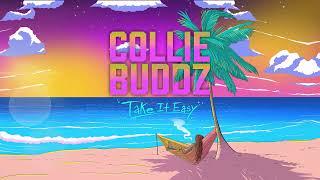 Collie Buddz - High Grade (International Herb)