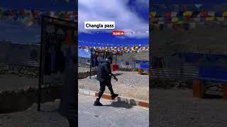 Up wala @TravelwithUpwalaajay  #changlapass #new #ladakhtrip #travel  #automobile #2025