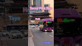 Seoul Cute #TayoBus #hechi #해치버스