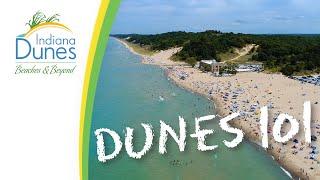 Where Are the Indiana Dunes Beaches? — Dunes 101: Beach Experience | Indiana Dunes