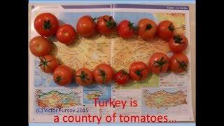 Турция - Страна Лимония и Помидория? Почему? 20.12.2015 Fruits, Agriculture Paradise in Turkiye