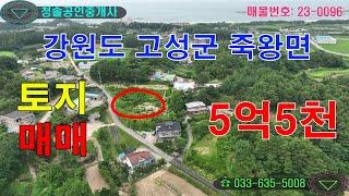 강원도 고성군 죽왕면 토지 매매