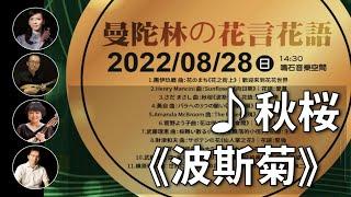 山口百恵・秋桜（コスモス）《波斯菊》｜曼陀林：陳子涵、青木樹理｜曼陀拉：廣田洋一｜鋼琴：郭宗翰