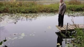 Making bait fish jump