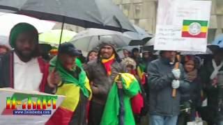 ዘሐበሻ ሚድያ - በአውሮጳ የተደረገውን የቤተ ክርስቲያን ሰላማዊ ሰልፍ እንዲህ ዘግቦታል።