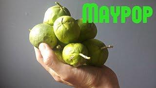 Maypop Review & Jam Recipe! - Weird Fruit Explorer Ep. 226