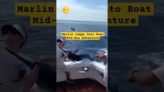 Unbelievable Fishing Tale: Marlin Jumps Into Boat Mid-Sea Adventure!