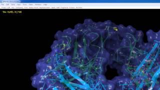 BioLuminate - Features of the BioLuminate Main Window