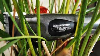 American Barber, Clipmaster Cordless. unboxing.