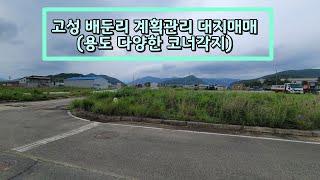 고성 배둔리 계획관리 대지매매(용도 다양한 코너각지)