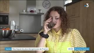 Reportage France 3 Franche Comté : maladie de Lyme, maladie à tique