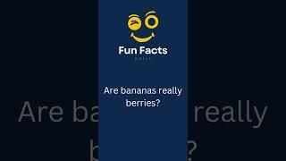 Are bananas really berries?  #shorts #funfactsdaily #education #knowledge